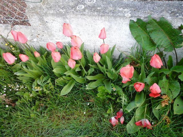 فيلا La Crielloise المظهر الخارجي الصورة